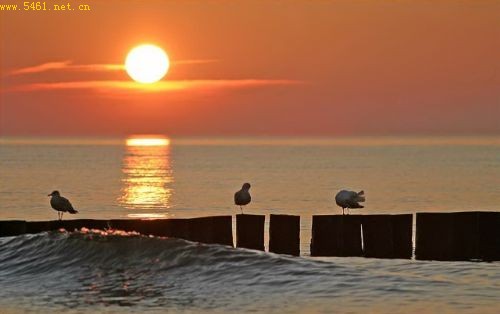 ���� - ���㡣 - ___��Ĭ